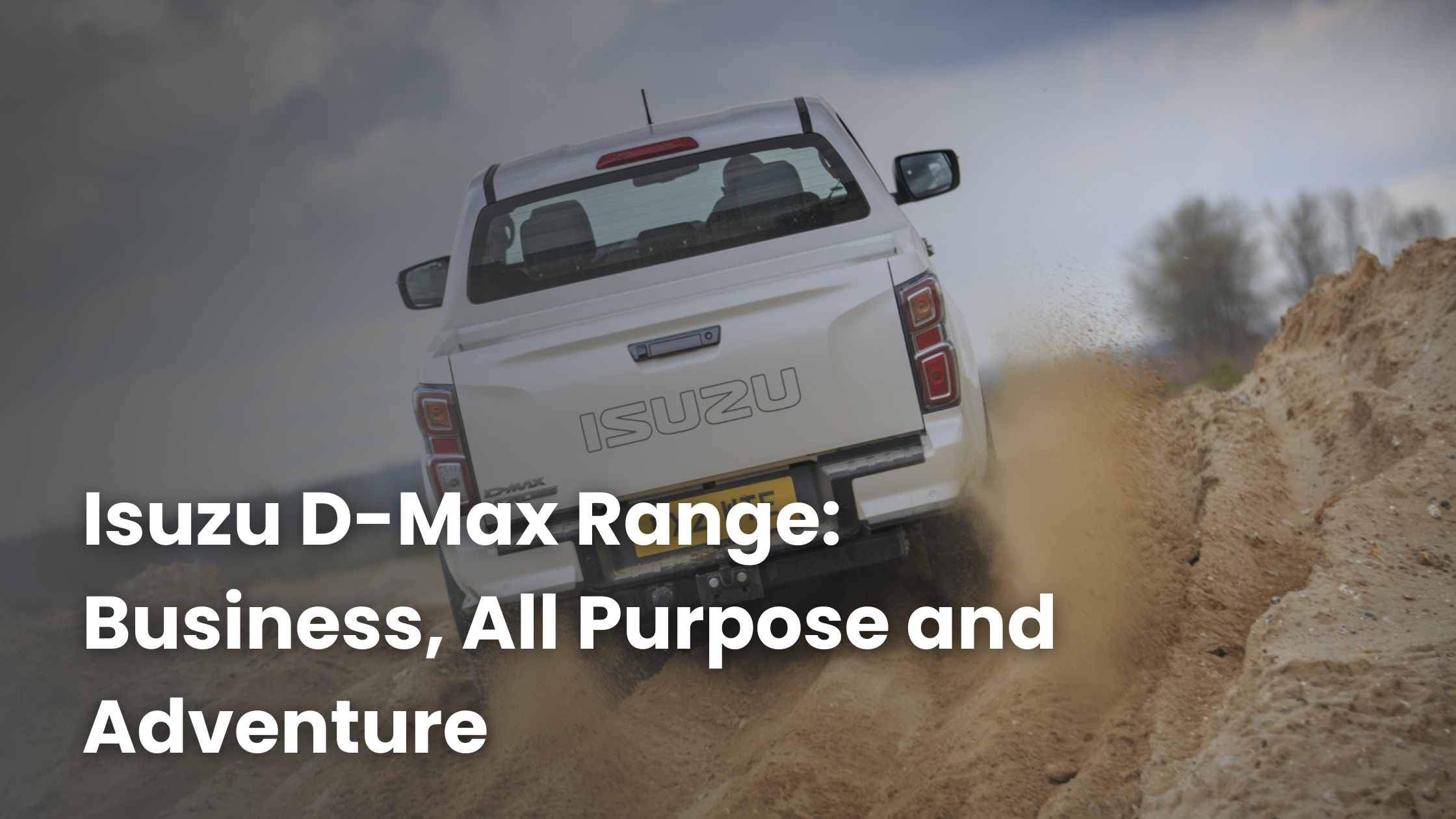 Isuzu D-Max: Business, All Purpose and Adventure Range